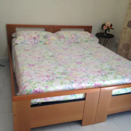 Flowers Apartment *